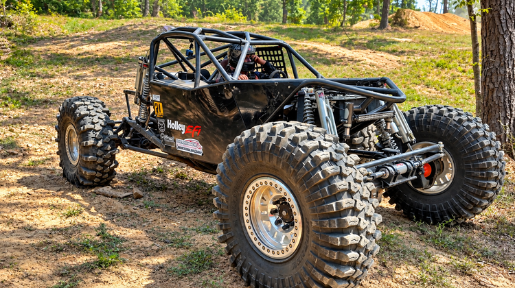 Black rock bouncer on a wooded trail